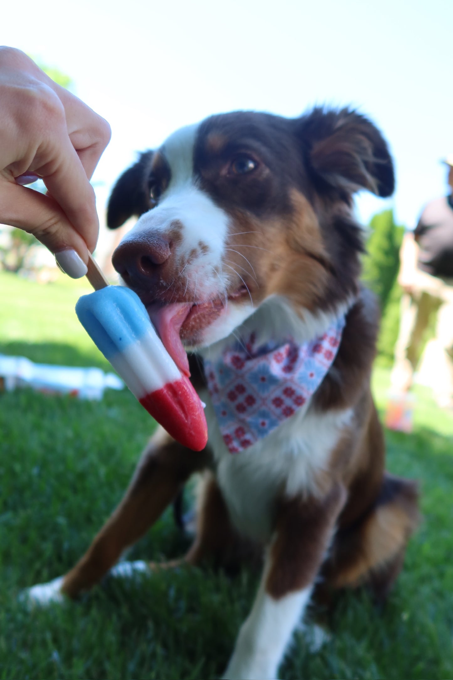 In-the-ruff dog bandanas
