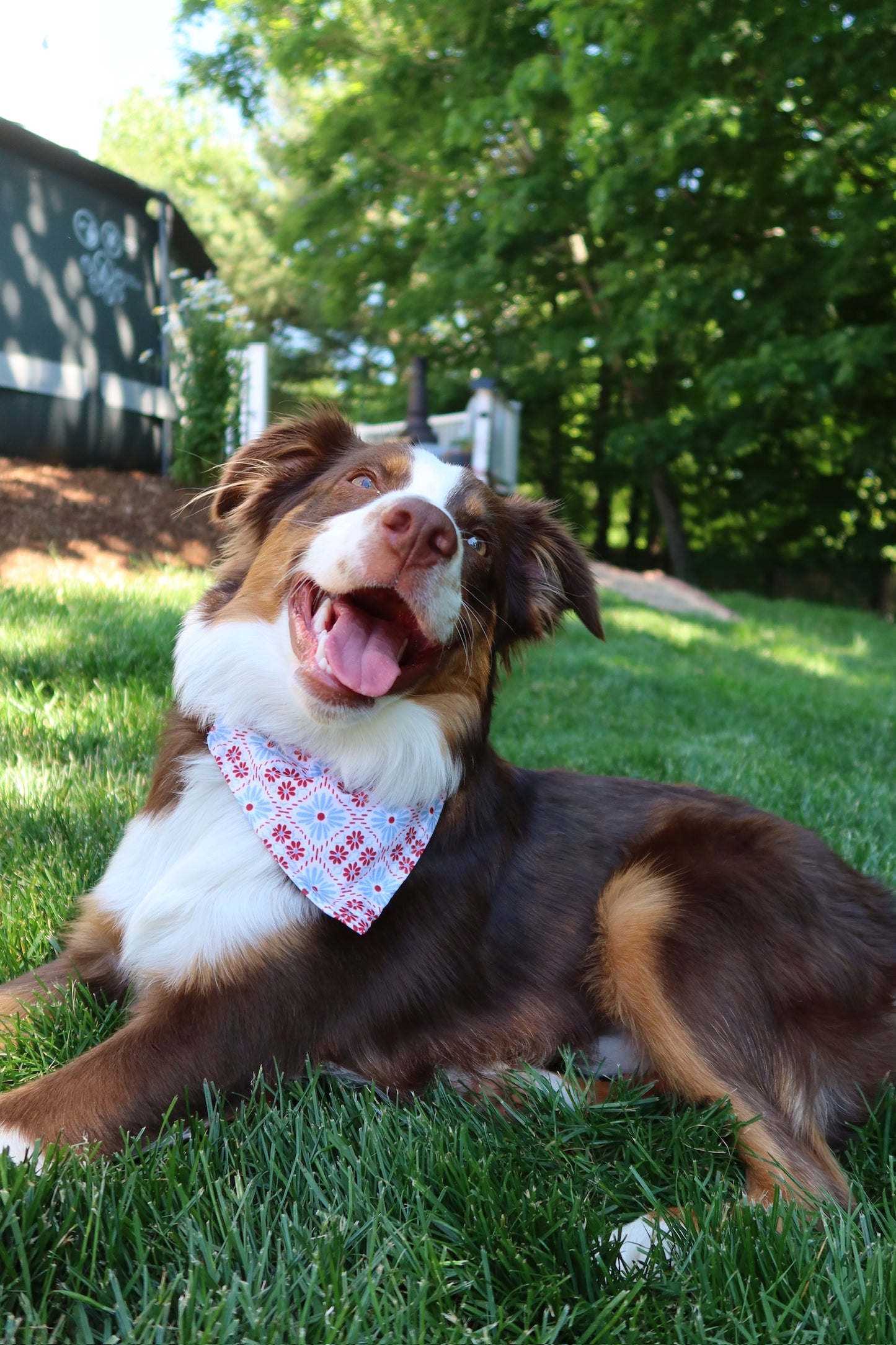 In-the-ruff dog bandanas
